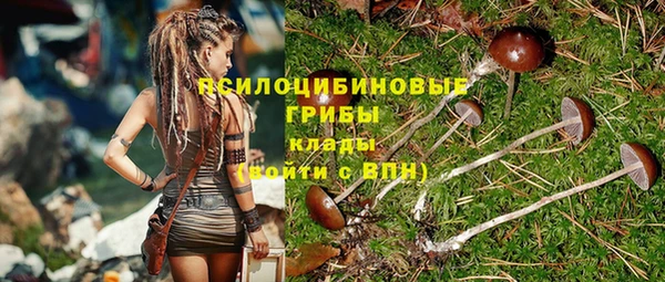 спайс Алексин