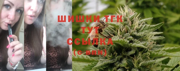 спайс Алексин