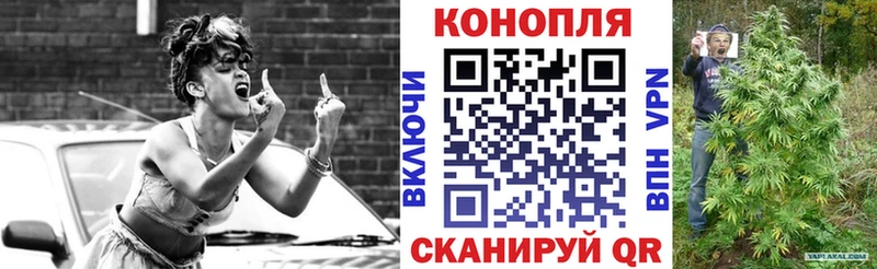 Шишки марихуана THC 21%  как найти наркотики  Павлово 